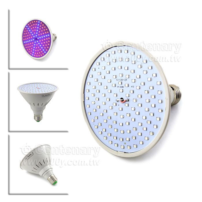 Other Series_Heat Lamps